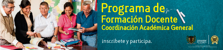 plan de formacion docente 2016