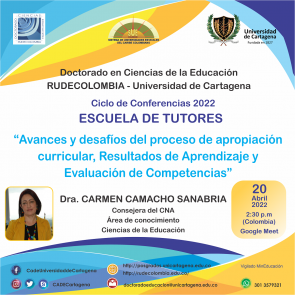 Conferencia: “Avances y desafíos del proceso de apropiación curricular, Resultados de Aprendizaje y Evaluación de Competencias”